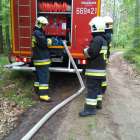 Fotka nr 1 z 19