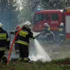Fotka nr 2 z 17