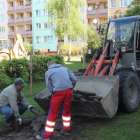 zdjęcie nr 7