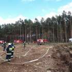 Fotka nr 1 z 13
