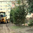 zdjęcie nr 33