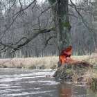 zdjęcie nr 33