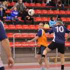 Fotka nr 4 z 43
