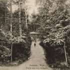 zdjęcie nr 31