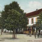 zdjęcie nr 11