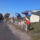 zdjęcie nr 41