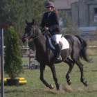 zdjęcie nr 30