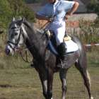 zdjęcie nr 86