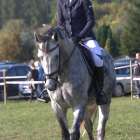 zdjęcie nr 47
