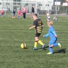 zdjęcie nr 31