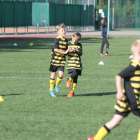 zdjęcie nr 17