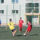 Fotka nr 5 z 43