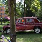 zdjęcie nr 45