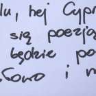 zdjęcie nr 26