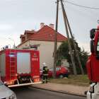 zdjęcie nr 8