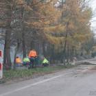 zdjęcie nr 15