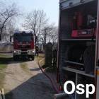 Fotka nr 5 z 7