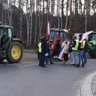 zdjęcie nr 13