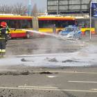 zdjęcie nr 15