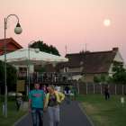 zdjęcie nr 103