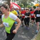 Fotka nr 5 z 99