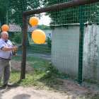 zdjęcie nr 14