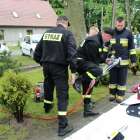 zdjęcie nr 31