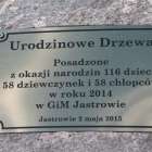 zdjęcie nr 15