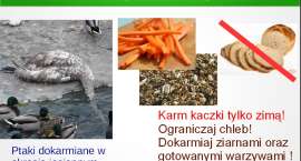 Fotka nr 4 z 6