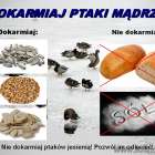 Fotka nr 5 z 6