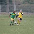 Fotka nr 2 z 17