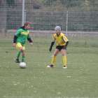 Fotka nr 1 z 17