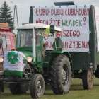 zdjęcie nr 45