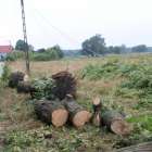 Fotka nr 2 z 14