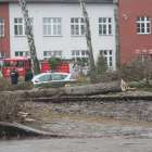 zdjęcie nr 9