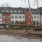 Fotka nr 2 z 13