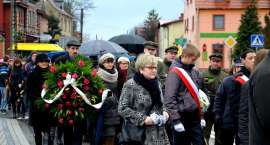 zdjęcie nr 14