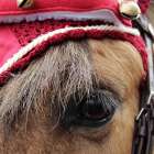 zdjęcie nr 47