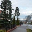 zdjęcie nr 34