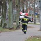 Fotka nr 1 z 13