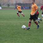 zdjęcie nr 14
