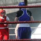 Fotka nr 1 z 50