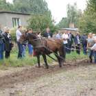 zdjęcie nr 16