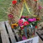 zdjęcie nr 23