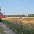 zdjęcie nr 8