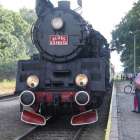 Fotka nr 1 z 49