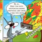 zdjęcie nr 25