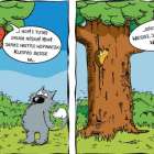 zdjęcie nr 19