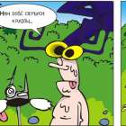 zdjęcie nr 16