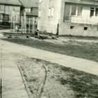 zdjęcie nr 12